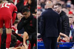 开云体育官网-关于利物浦-战胜南安普顿,贝尔纳多助攻统治比赛的信息