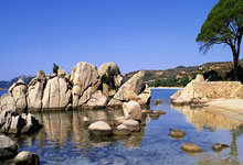 开云体育APP下载-中国队力克英格兰队，樊振东扛起全队