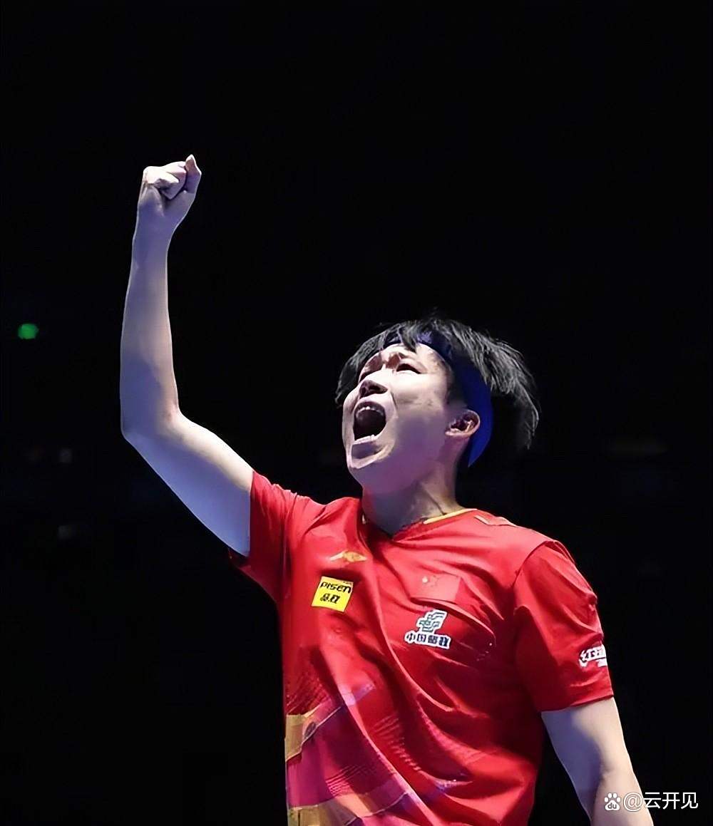 日本乒乓球队翻盘德国乒乓球队，王皓关键制胜的简单介绍
