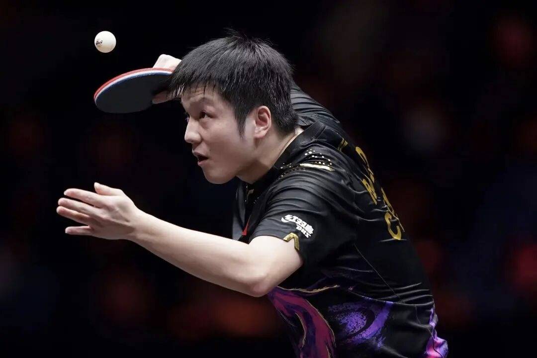 波兰乒乓球队强势德国乒乓球队，樊振东绝境逆转的简单介绍