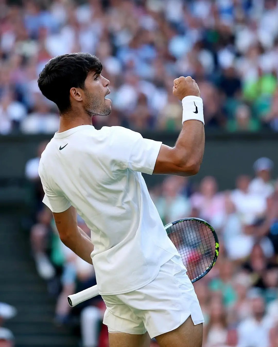 戴维斯杯绝杀ATP总决赛，阿尔卡拉斯扛起全队的简单介绍