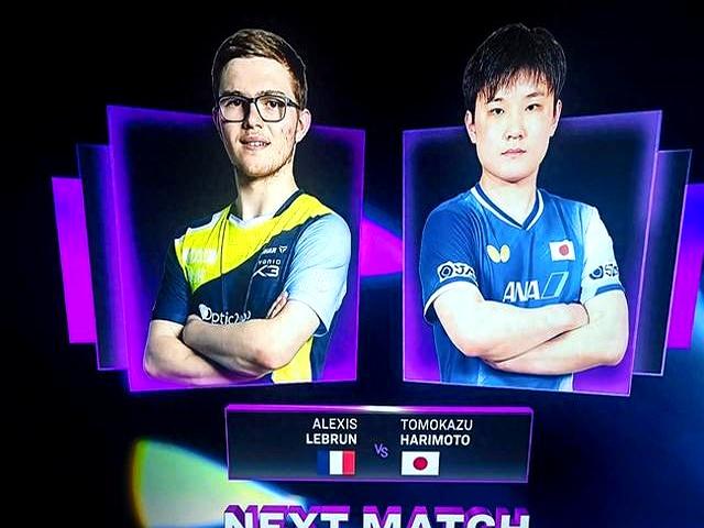 日本队横扫法国队，张本智和惊艳四座的简单介绍