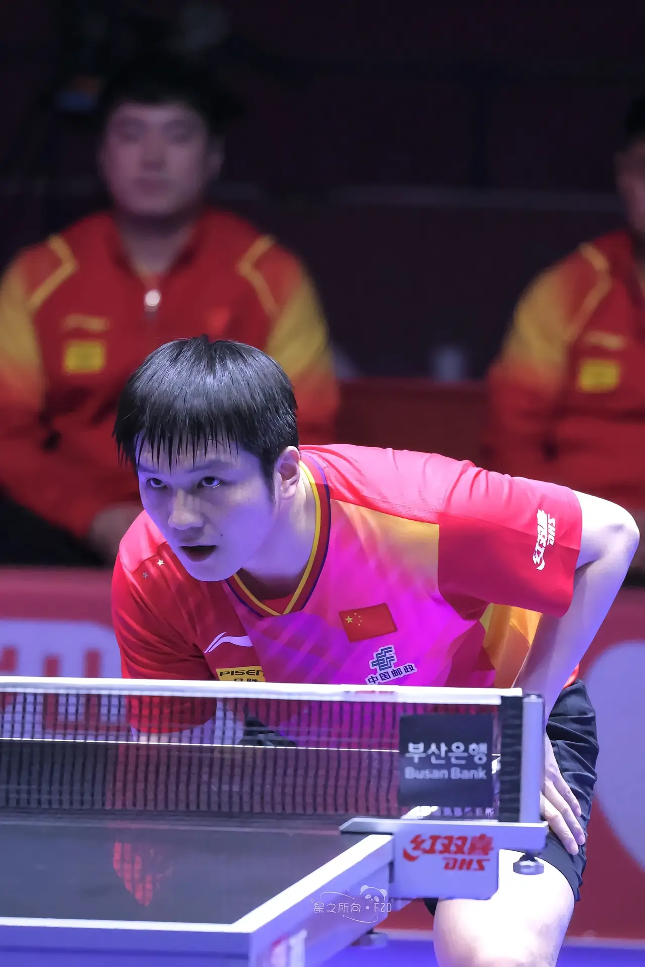 关于中国乒乓球队险胜韩国乒乓球队,张继科制霸全场的信息 关于中国乒乓球队险胜韩国乒乓球队,张继科制霸全场的信息