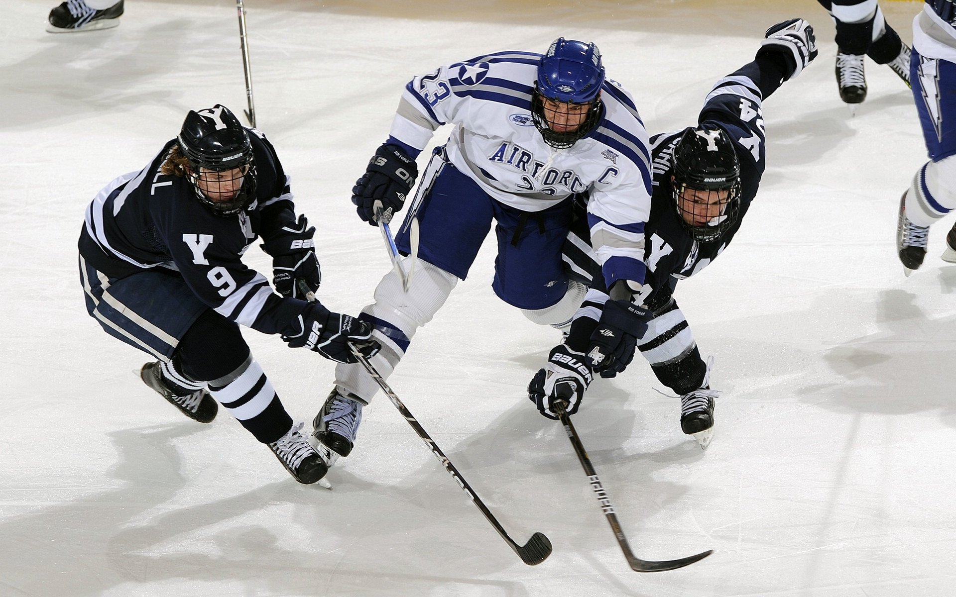 骑士全面压制灰熊,乔治节奏完全掌控,一场战术与意志的胜利