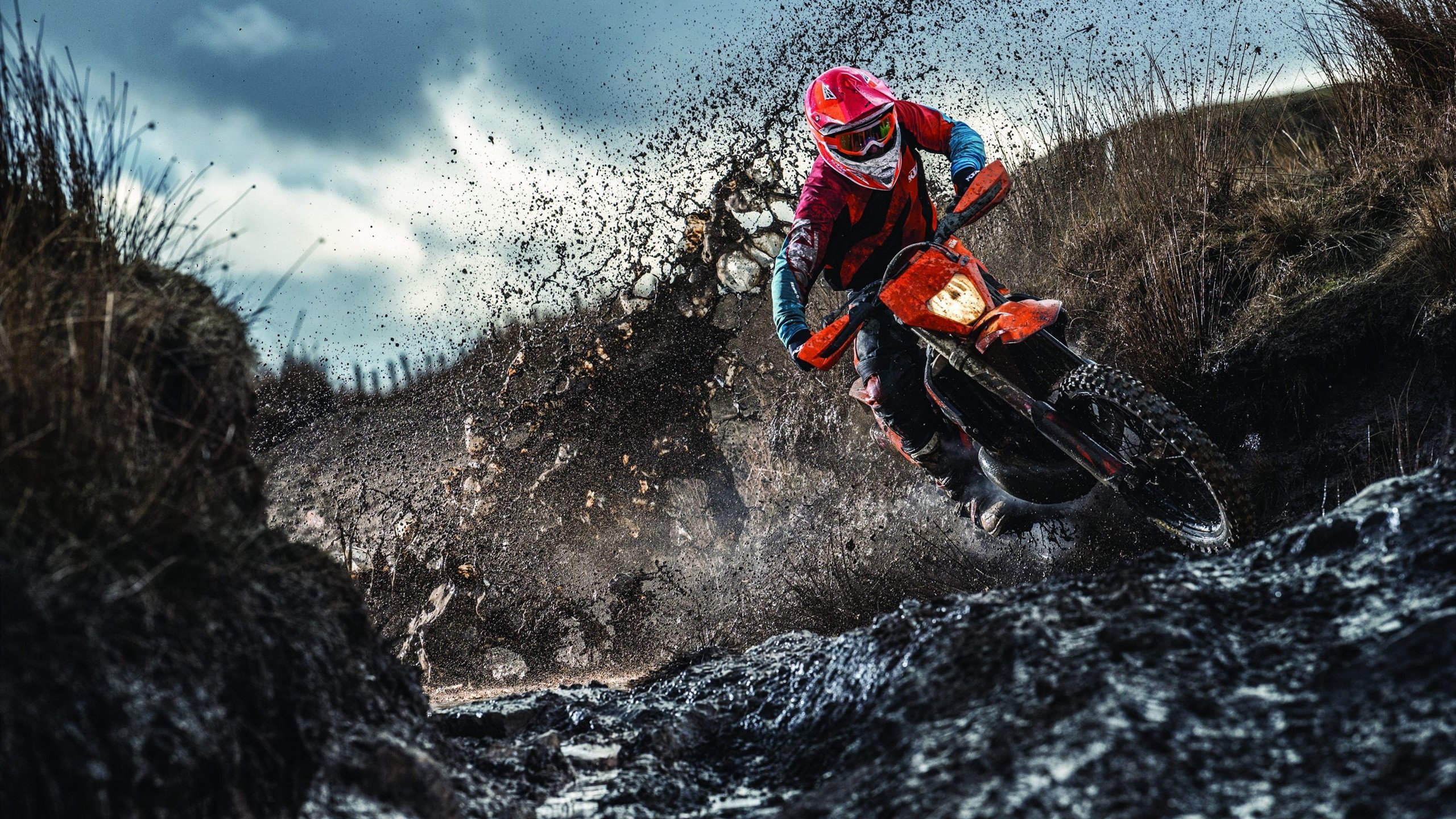 密尔沃基的破晓，字母哥抢七封神，雄鹿掀翻掘金改写历史